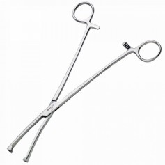 Pince de museux courbée 24 cm