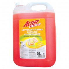 Nettoyant toutes surfaces Actif pro