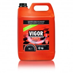 Nettoyant Vigor industriel