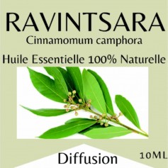 Huiles essentielles Ravintsara - 10 ml