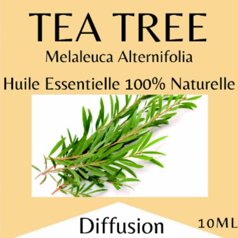 Huiles essentielles Arbre à thé - 10 ml