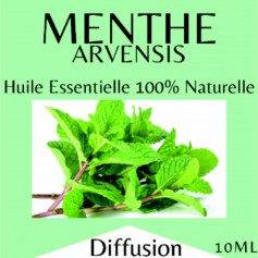 Huiles essentielles menthe arvensis - 10 ml