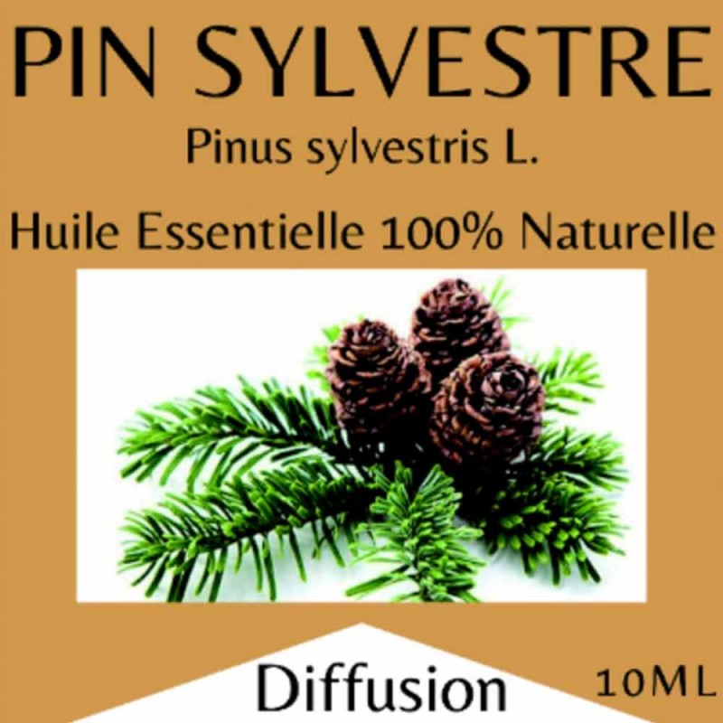 Huiles essentielles pin sylvestre - 10 ml