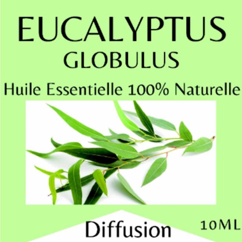Huiles essentielles Eucalyptus - 10 ml
