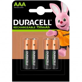 Piles rechargeables Panasonic