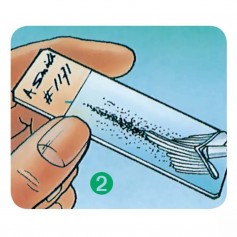 Balai endocervical - Boîte de 50