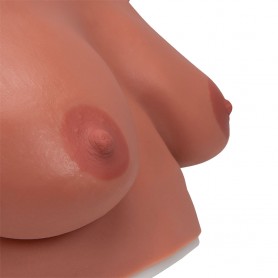 Modele de Palpation Mammaire