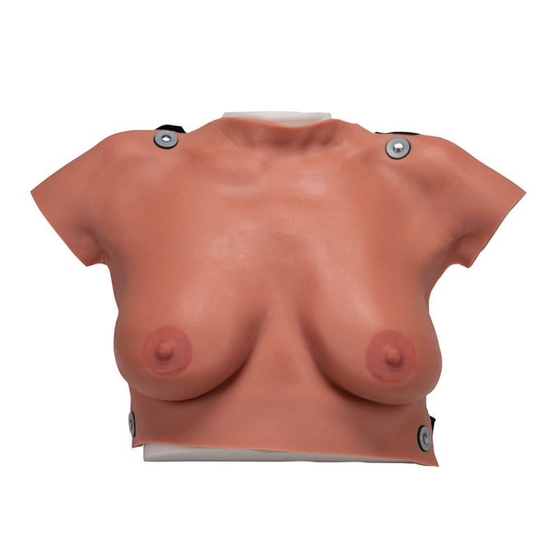 Modele de Palpation Mammaire