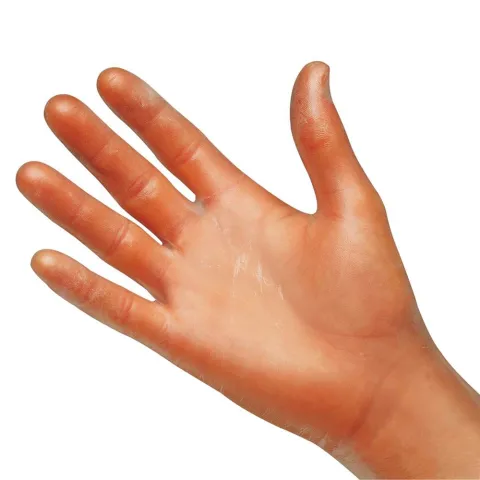 Gants d’examen vinyl sans poudre, non stériles