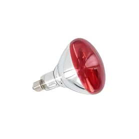 Ampoule infrarouge de rechange 250 W