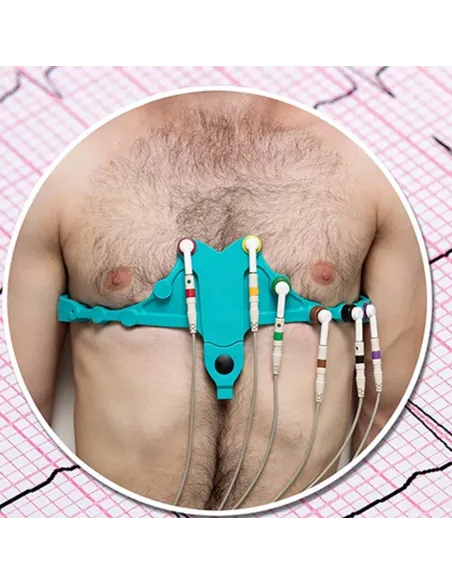 CEINTURE ELECTRODES ECG UNIVERSELLE