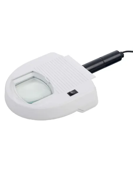 LAMPE LOUPE DE WOOD VISTA