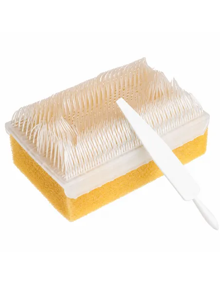 Brosse chirurgicale stérile avec cure-ongle MEDISTOCK