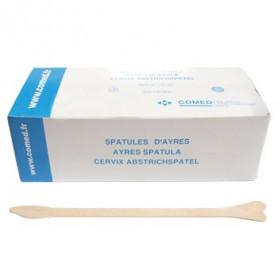 SPATULES D'AYRES BOITE DE 200