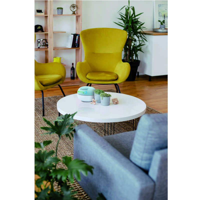 Purificateur d'air BISE 30/40 M3/H