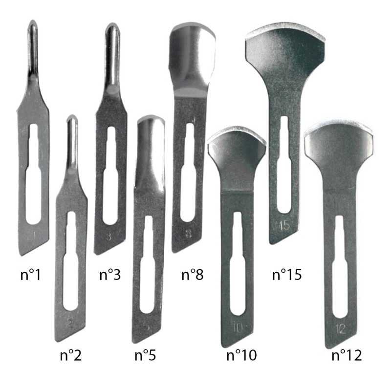 Lame de gouge First Blades stérile