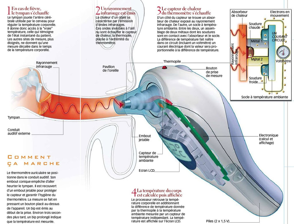 Schéma thermomètre auriculaire