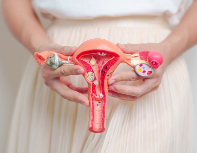 Comprendre l'utérus rétroversé : causes, symptômes et implications